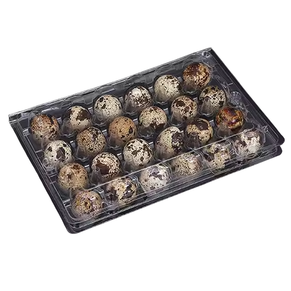 egg carton tackle box Jumbo Quail Egg Cartons – Texas Poultry Shrink Bags