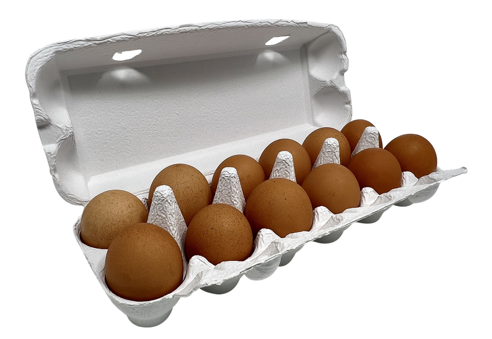 Egg Cartons At Rural King at Jake Town blog