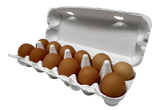 Premium Egg Cartons
