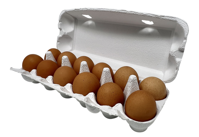 Premium Egg Cartons
